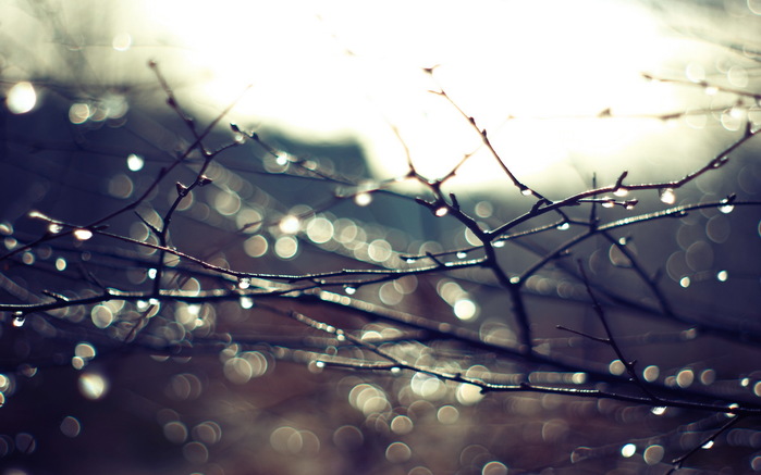 rain_01 (700x437, 84Kb)