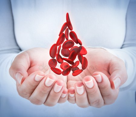 depositphotos_62239585-stock-photo-blood-cells-in-hands-shaped (450x387, 106Kb)