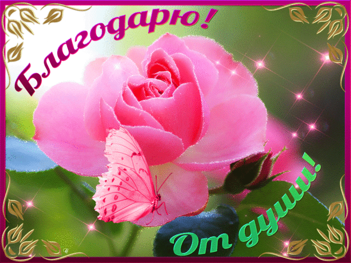16bfbfc396e2526949e0746fb421edba99e08cd4c7ecc638caa8ca19056985d7 (700x525, 1126Kb)