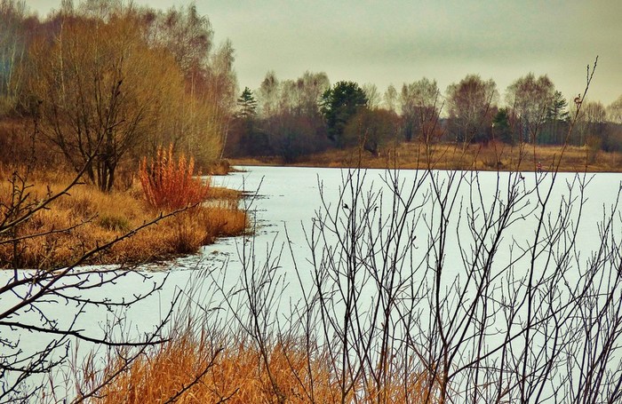 P1060988 (700x455, 139Kb)