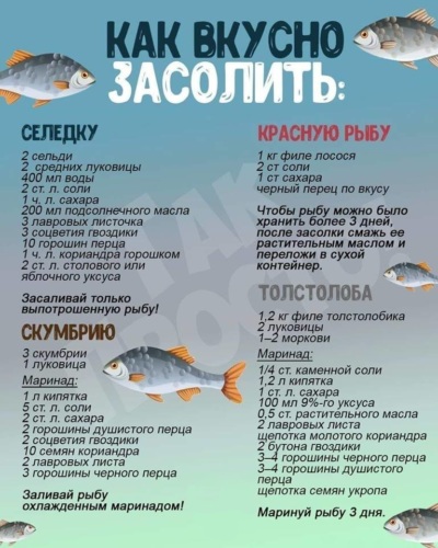 1544646183_5 (400x500, 75Kb)