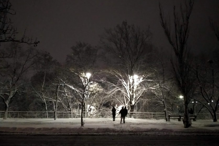 IMG_20181212_211651 (700x467, 215Kb)