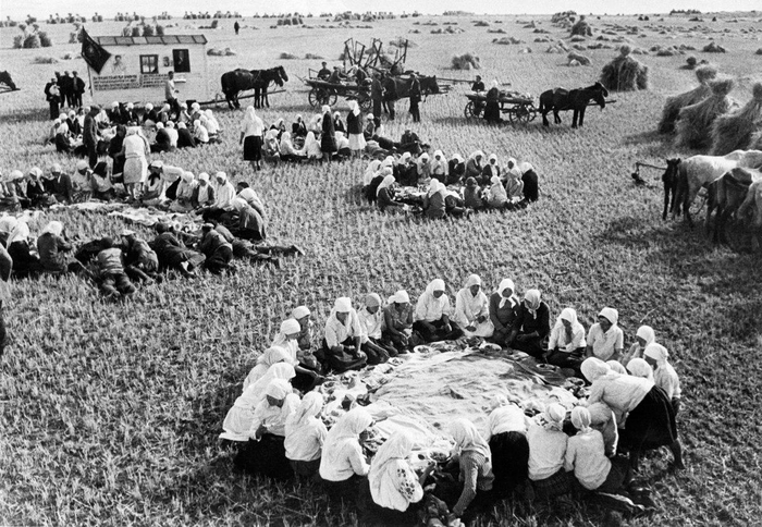 Обед в полях во время сбора урожая в колхозе 8 июня 1936 года. (700x484, 286Kb)