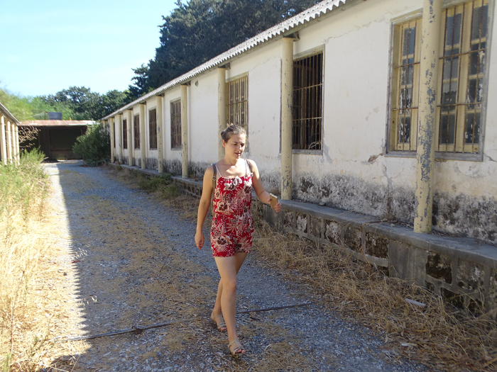 DSC07928 (700x525, 532Kb)