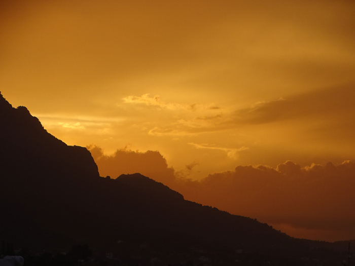 DSC08025 (700x525, 280Kb)