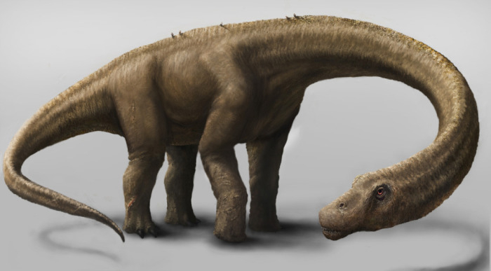 Dreadnoughtus schrani гигантские динозавры