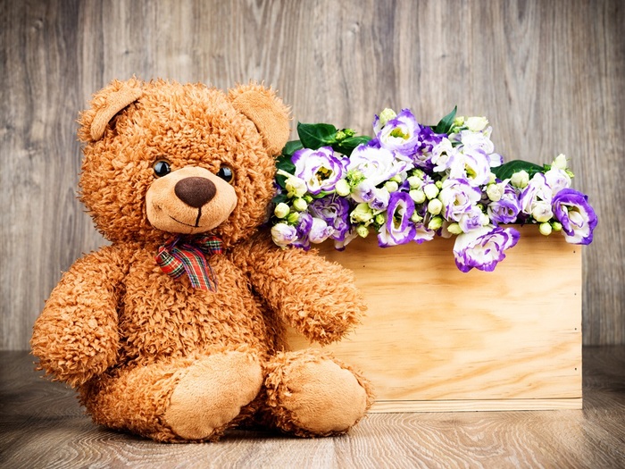 Teddy-toy-bear-flowers_1024x768 (700x525, 171Kb)