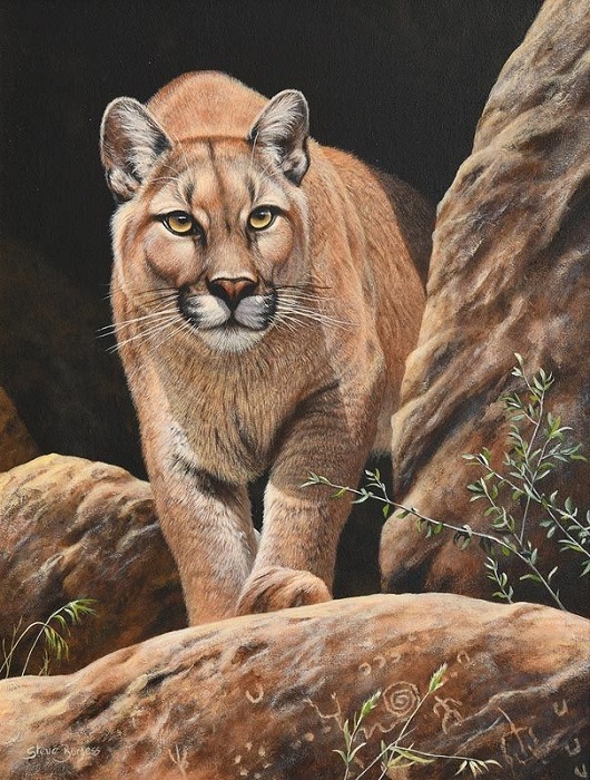 Mountain Lion (530x700, 192Kb)