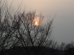  DSCN0213 (700x525, 440Kb)