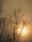  DSCN0236 (525x700, 528Kb)