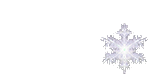 1462 (150x75, 55Kb)