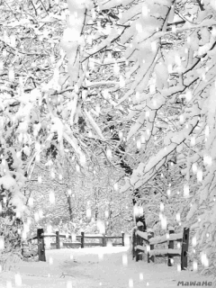 2138482_93449864_defne_15 (240x320, 151Kb)