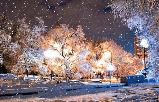 снег (515x332, 2627Kb)