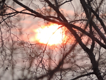  DSCN0291 (700x525, 480Kb)