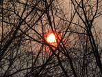  DSCN0304 (700x525, 618Kb)