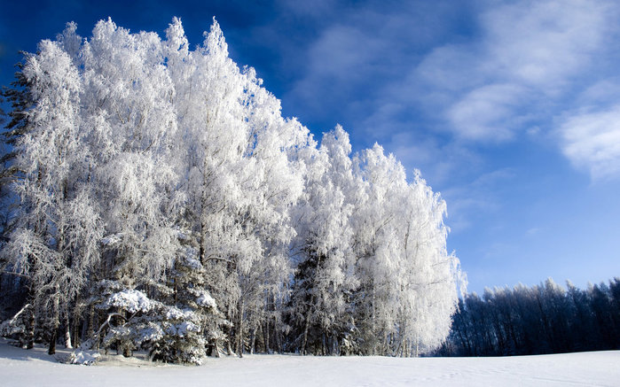 6098670_foto11_Yspokoenie_Prirodi (700x437, 99Kb)