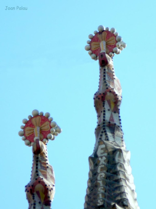 Mallorca,401-SFamilia-Passió-T49 (525x700, 188Kb)