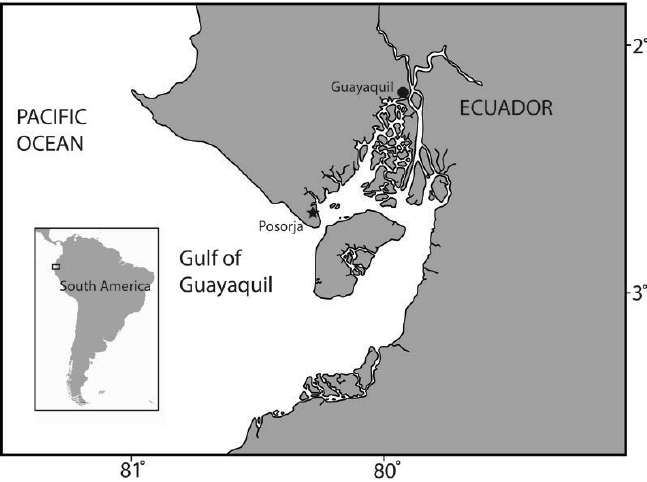 The-location-Posorja-of-the-rope-rubbing-observation-in-the-Gulf-of-Guayaquil-The (647x482, 102Kb)