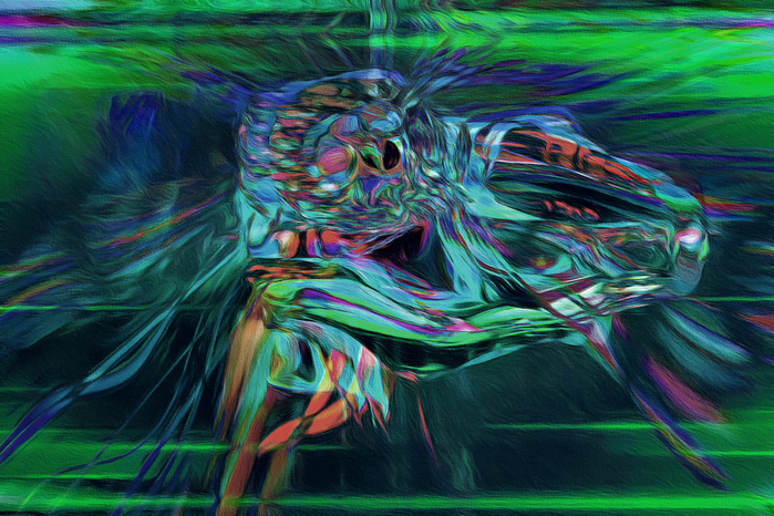 5_2 (700x466, 533Kb)
