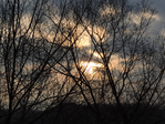  DSCN8587 (700x525, 602Kb)
