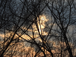  DSCN8577 (700x525, 615Kb)