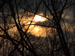  DSCN8594 (700x525, 492Kb)