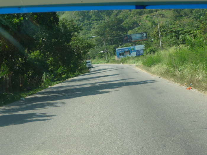 P1190723 (700x525, 429Kb)