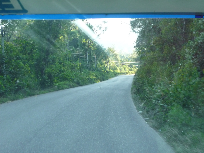 P1190735 (700x525, 353Kb)