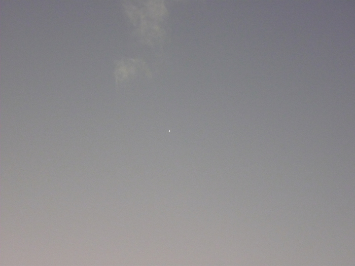 P1190765 (700x525, 222Kb)