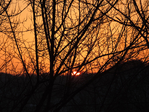  DSCN8635 (700x525, 632Kb)
