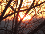  DSCN8637 (700x525, 527Kb)