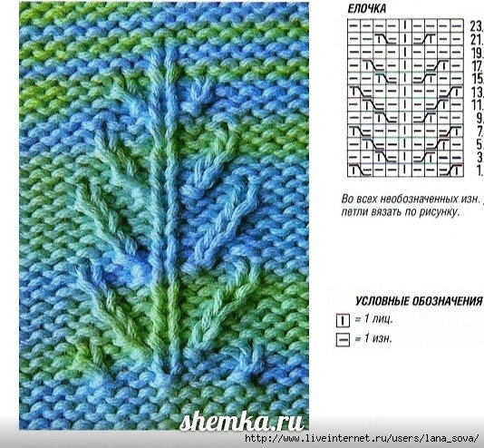 редька2 (534x494, 226Kb)