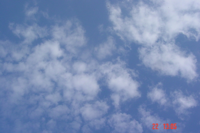 DSC00100 (700x468, 145Kb)