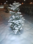  IMG_20181223_215502 (525x700, 259Kb)