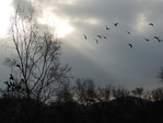  DSCN8844 (700x525, 350Kb)