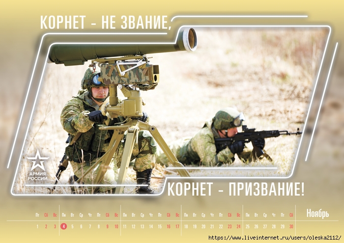 army2019_calendar_11-nov-1200 (700x495, 249Kb)