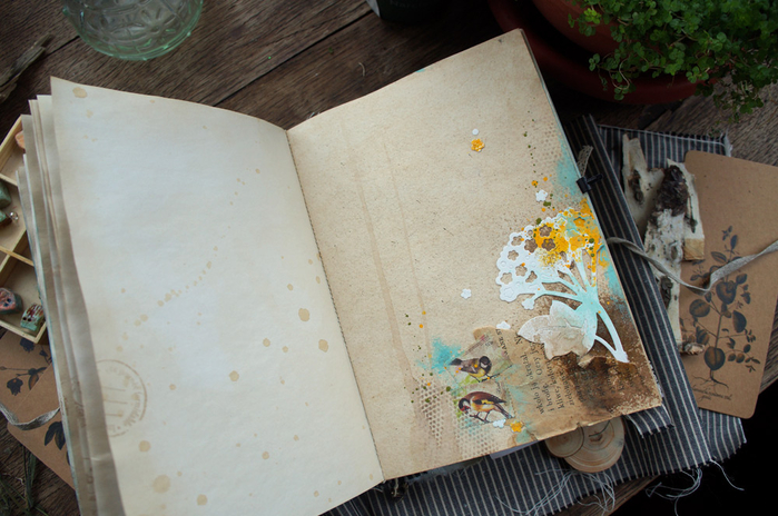 DSC01215 (700x464, 378Kb)
