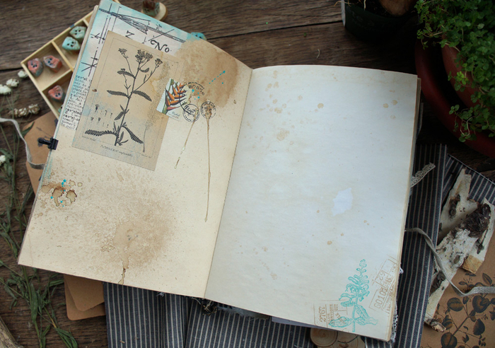 DSC01220 (700x492, 411Kb)