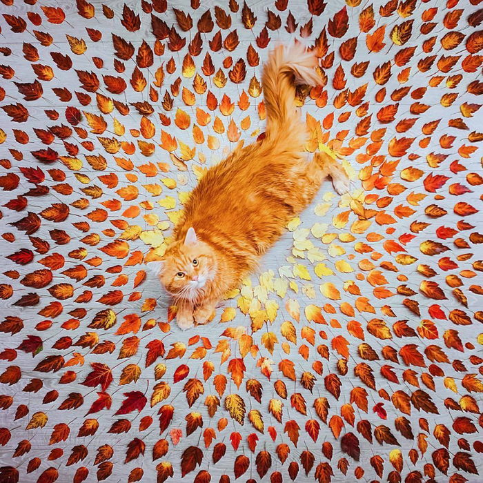 tumblr_ouijksRoNC1rg590io8_1280 (700x700, 850Kb)
