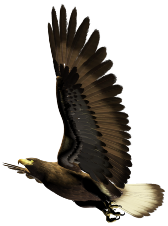 29 (1) (338x454, 109Kb)