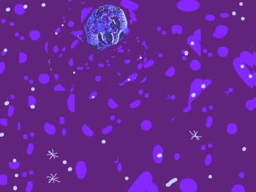 2------- (500x375, 84Kb)