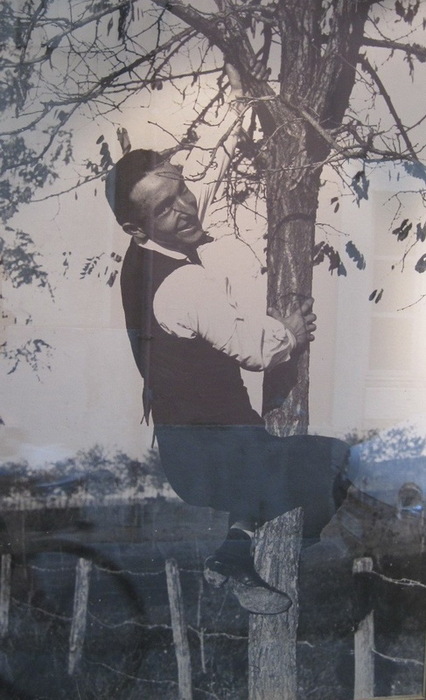  Fortunato Depero - Autoritratto su un albero (1915) (426x700, 98Kb)