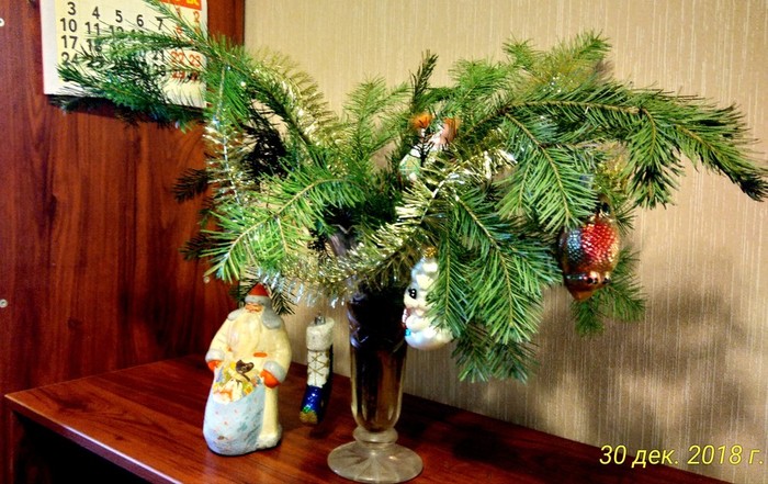 P_20181230_103334_HDR_p_1 (700x441, 117Kb)