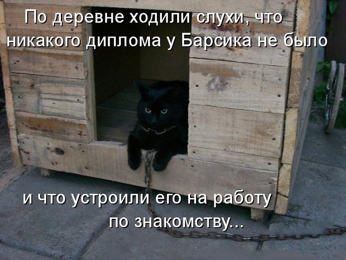 Добрым, картинка собаки с надписью теперь перезимуем а теплых будках