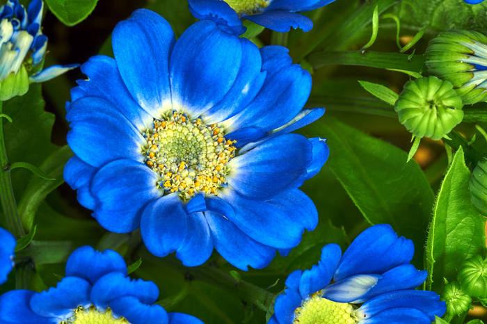 754c1e (700x466, 467Kb)