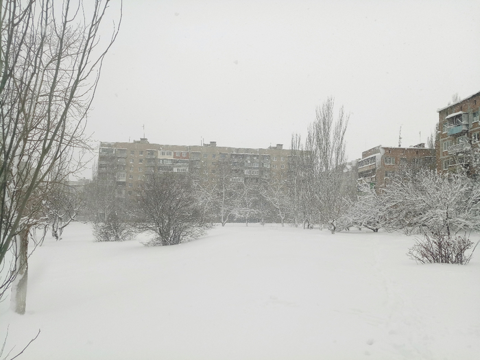 IMG_20190105_112030 (700x525, 266Kb)