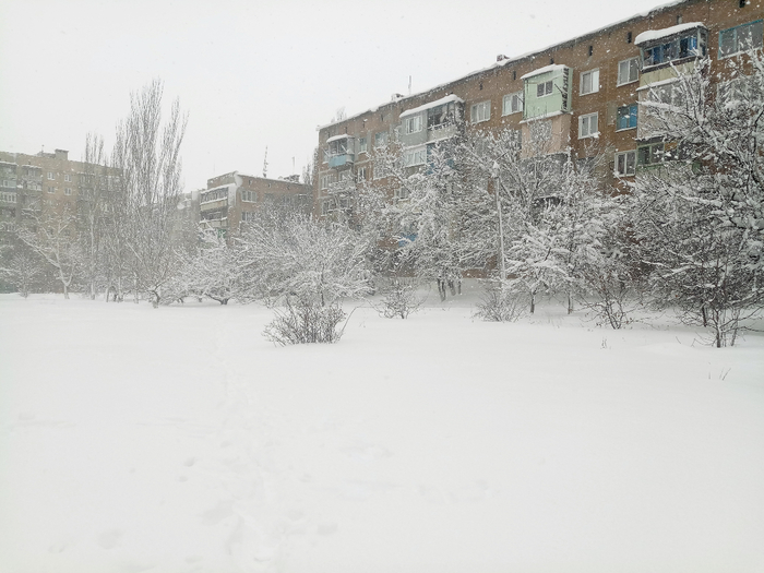 IMG_20190105_112045 (700x525, 278Kb)