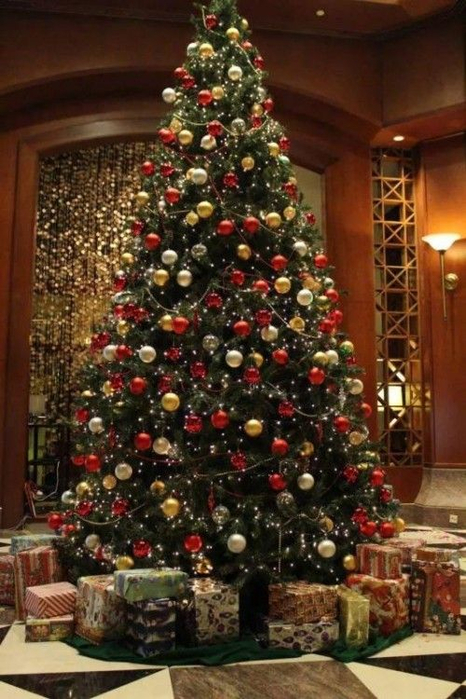 e024ce6088c32a62dd11f5284617d17c (466x700, 385Kb)