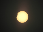  DSCN9111 (700x525, 178Kb)