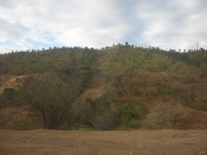 P1190793 (700x525, 302Kb)